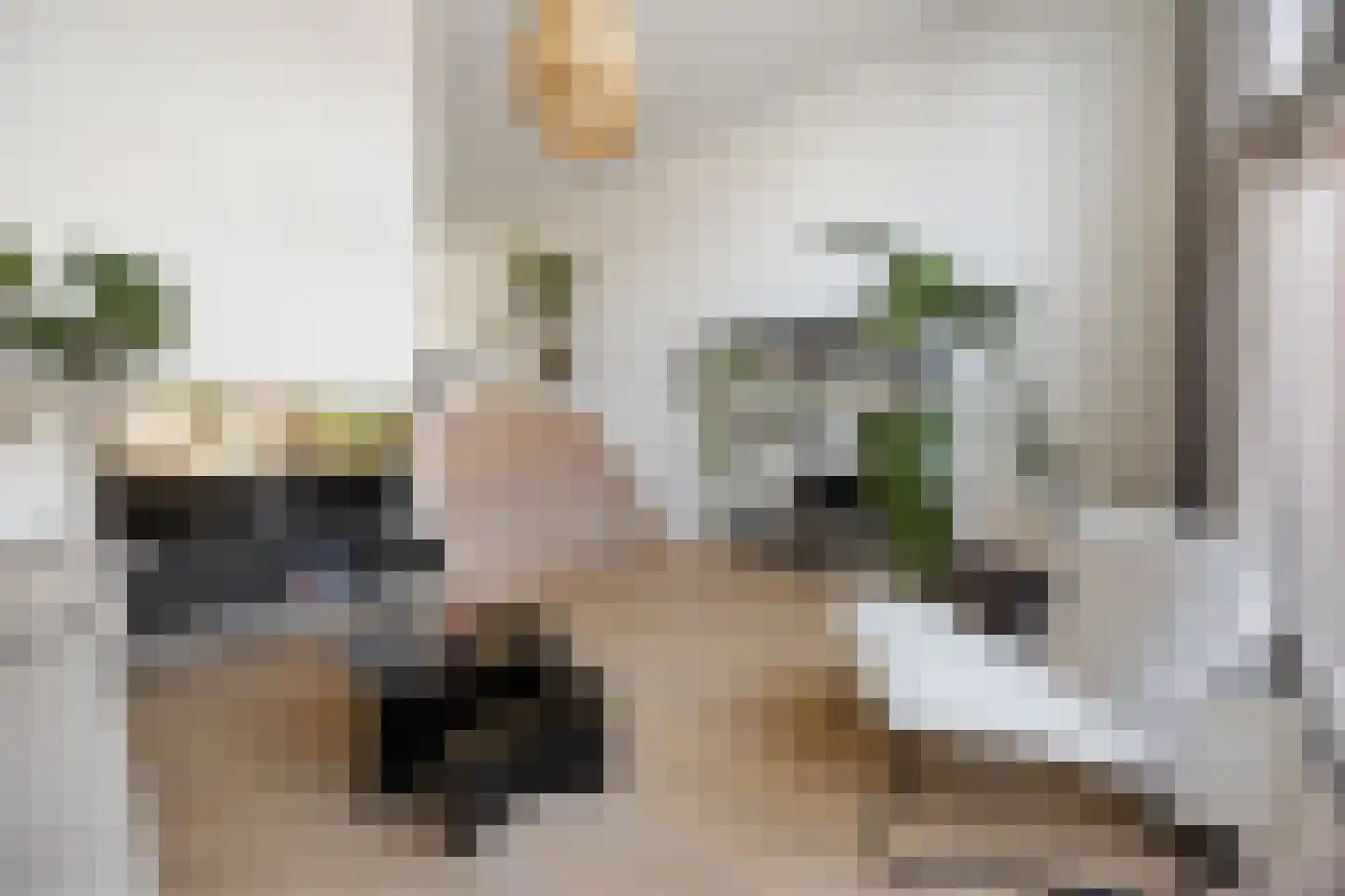 van der Duyn van Maasdamstraat 89 Nijmegen thumbnail 8