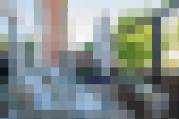 van der Duyn van Maasdamstraat 97 Nijmegen thumbnail 6