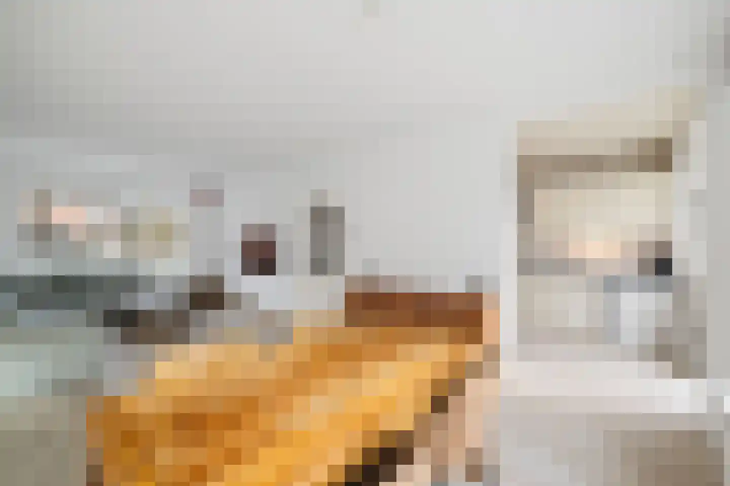 van der Duyn van Maesdamstraat 75 Twello thumbnail 9