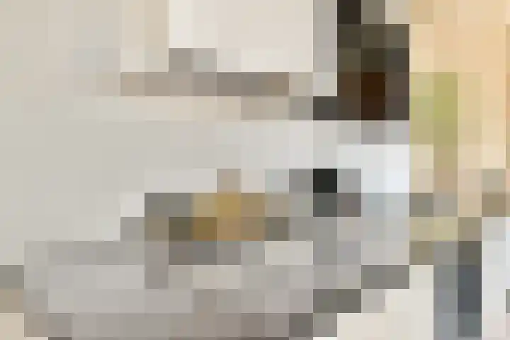 van der Duynstraat 14 Vlaardingen thumbnail 8