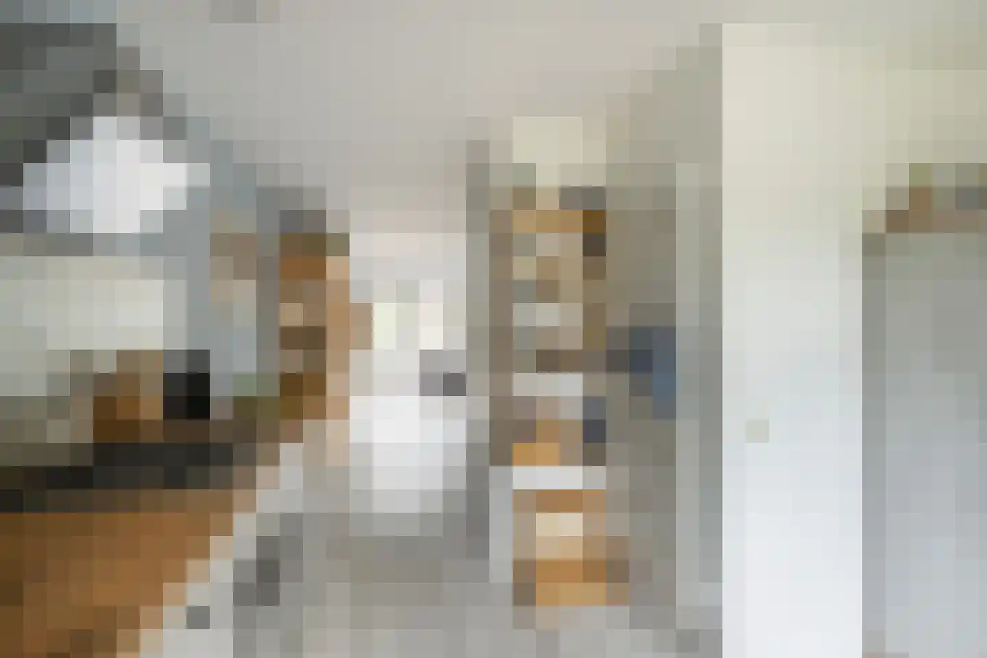 van der Duynstraat 15 Vlaardingen thumbnail 19
