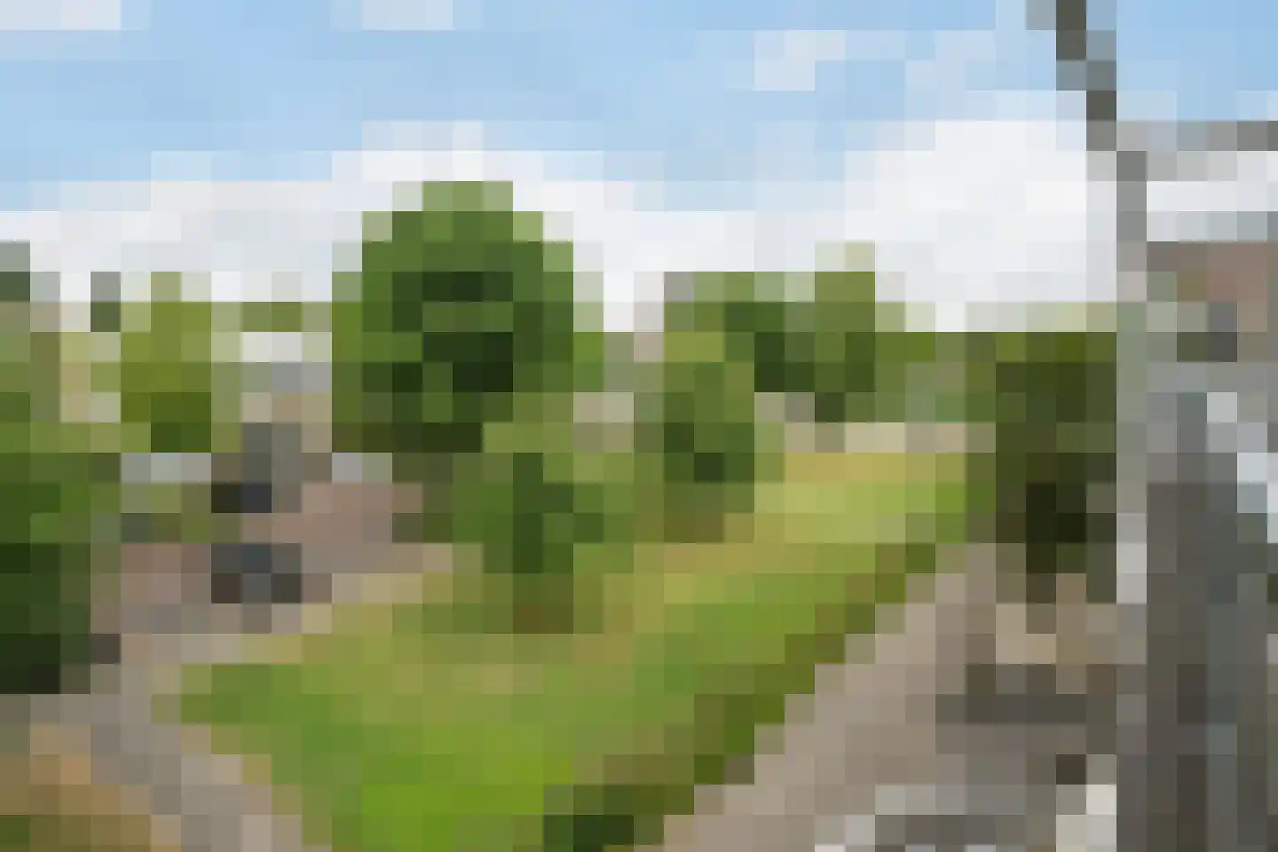 van der Duynstraat 15 Vlaardingen thumbnail 42