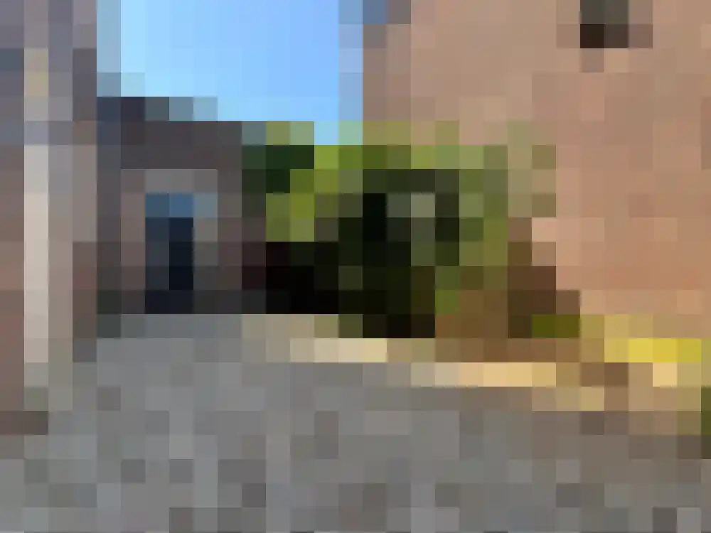 Van der Duynstraat 189 Den Haag thumbnail 12