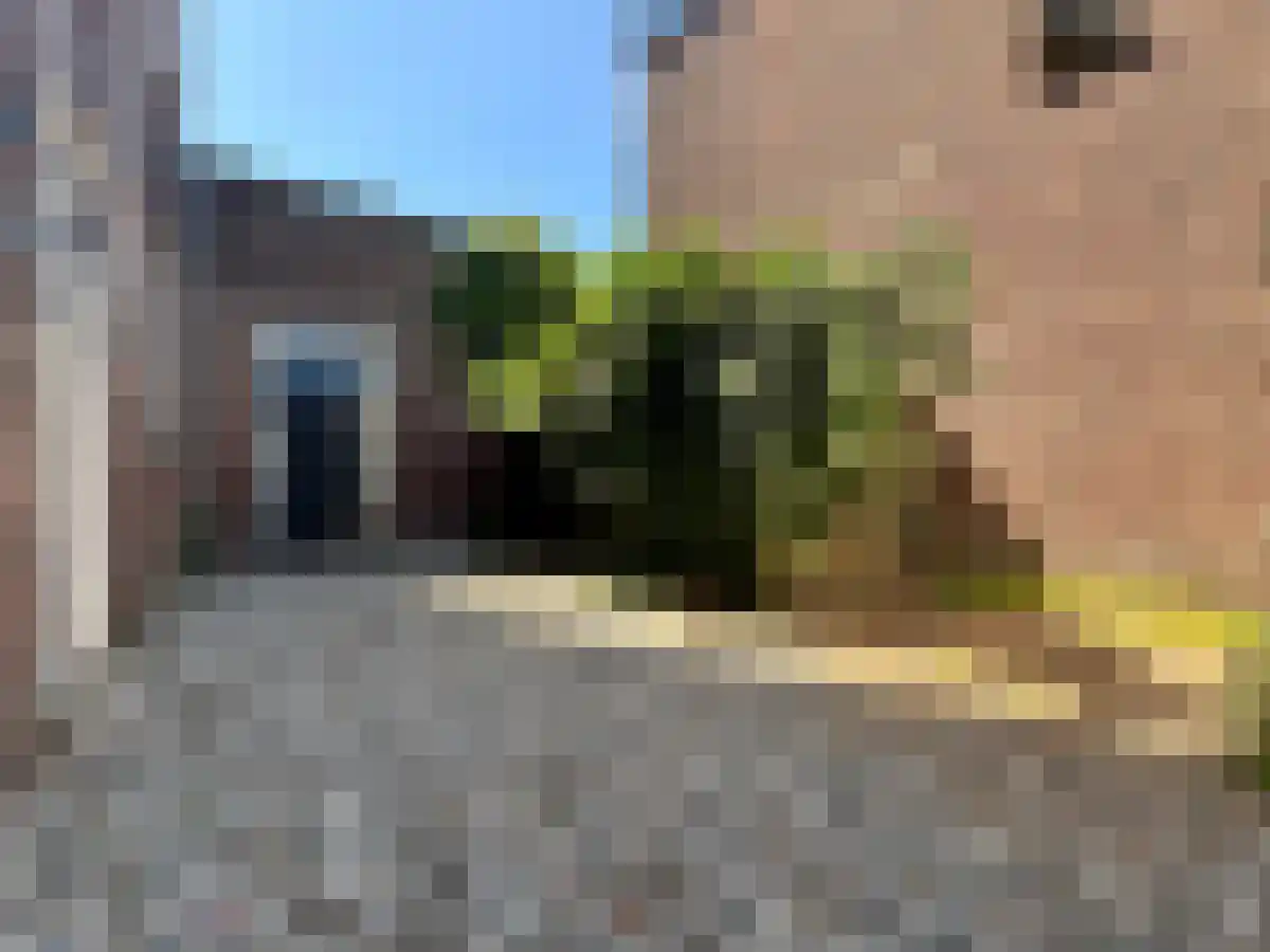 Van der Duynstraat 189 Den Haag thumbnail 6