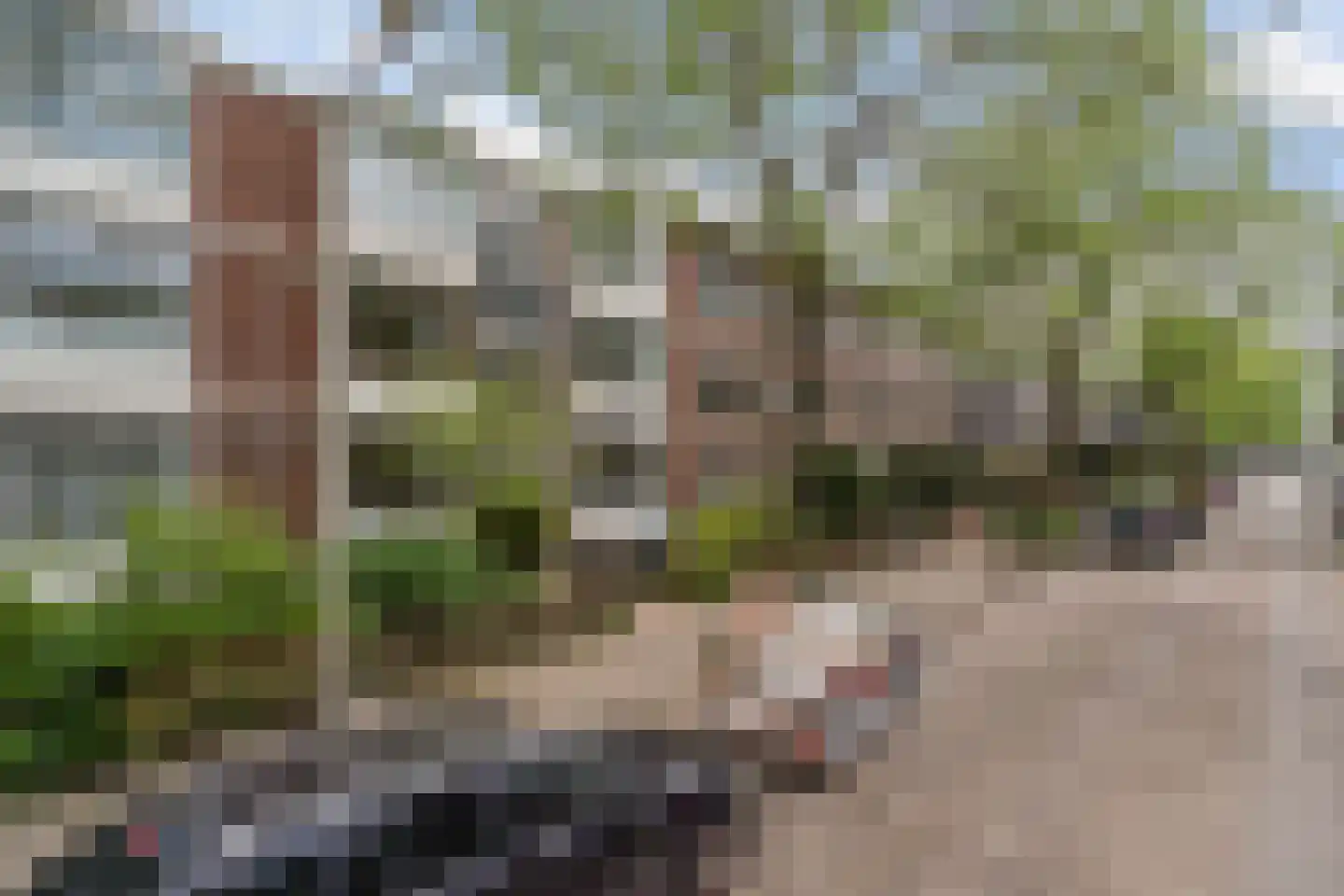 Van der Duynstraat 98 Den Haag thumbnail 5