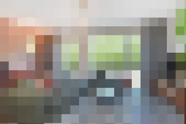 Van der Endetuinen 4 Delft thumbnail 10