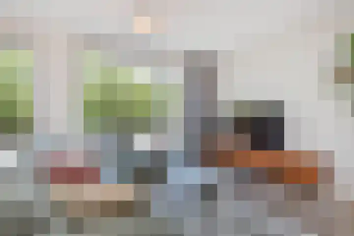 Van der Endetuinen 4 Delft thumbnail 12
