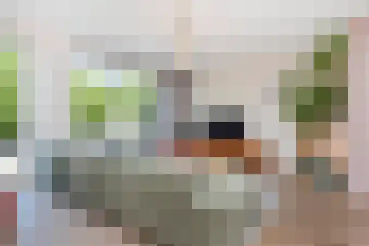 Van der Endetuinen 4 Delft thumbnail 13