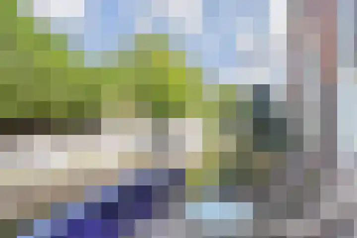 Van der Endetuinen 4 Delft thumbnail 14
