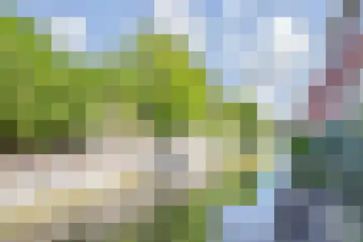 Van der Endetuinen 4 Delft thumbnail 15