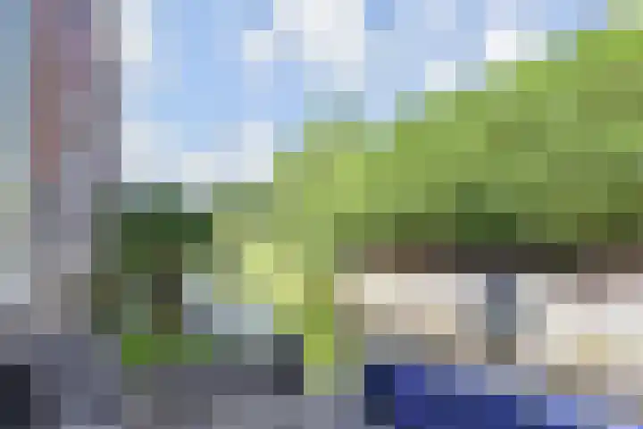 Van der Endetuinen 4 Delft thumbnail 17