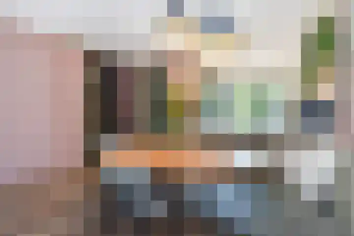 Van der Endetuinen 4 Delft thumbnail 19