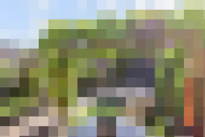 Van der Endetuinen 4 Delft thumbnail 27