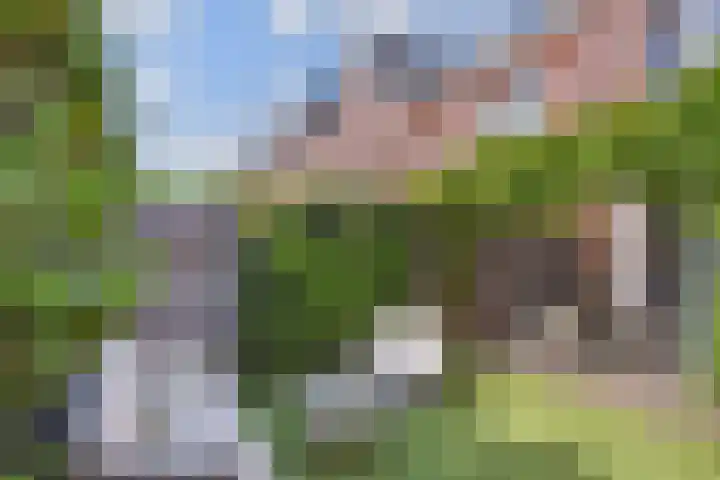 Van der Endetuinen 4 Delft thumbnail 30