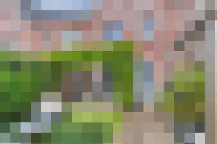 Van der Endetuinen 4 Delft thumbnail 32