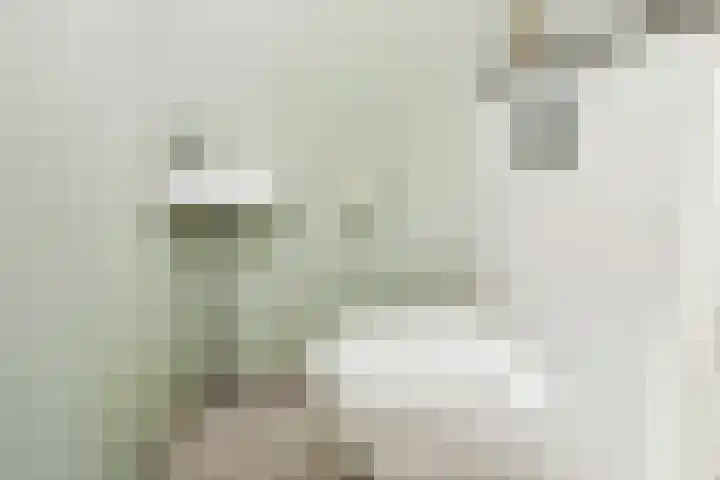 Van der Endetuinen 4 Delft thumbnail 36