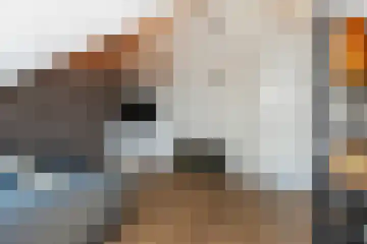 Van der Endetuinen 4 Delft thumbnail 51