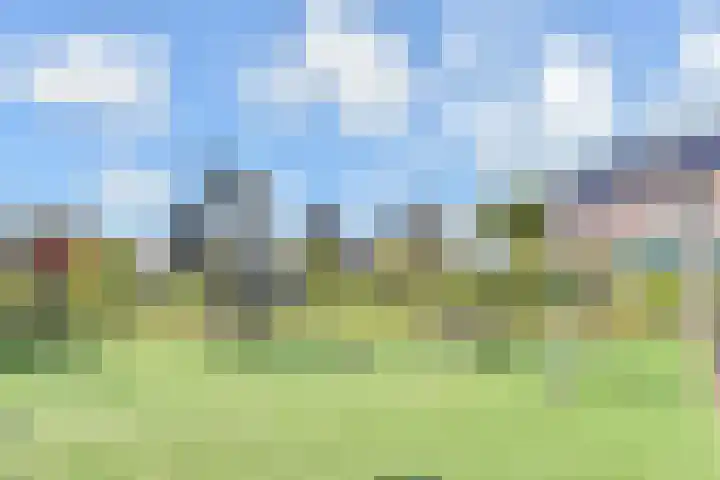 Van der Endetuinen 4 Delft thumbnail 59