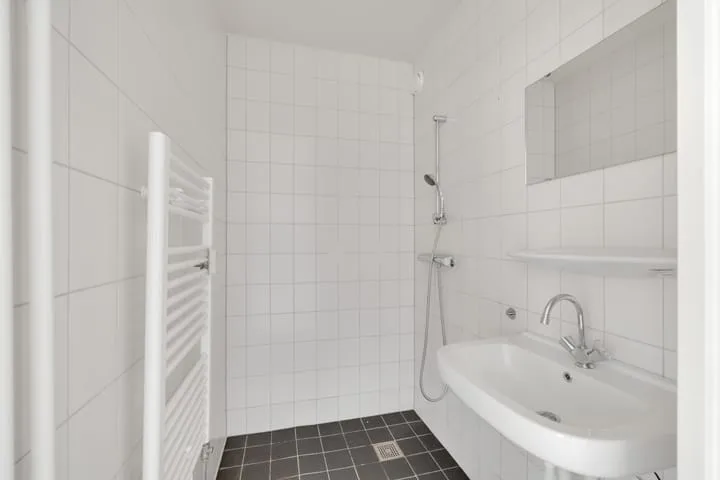 van der Fuyckstraat 117 Brielle thumbnail 11