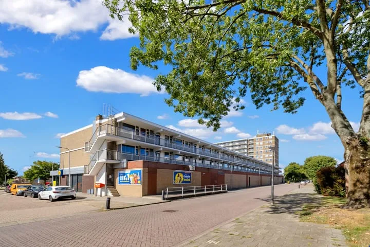 van der Fuyckstraat 117 Brielle thumbnail 22
