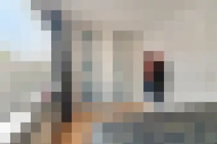 van der Fuyckstraat 126 Brielle thumbnail 11