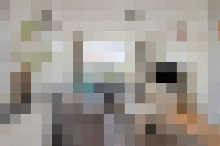 van der Fuyckstraat 126 Brielle thumbnail 5