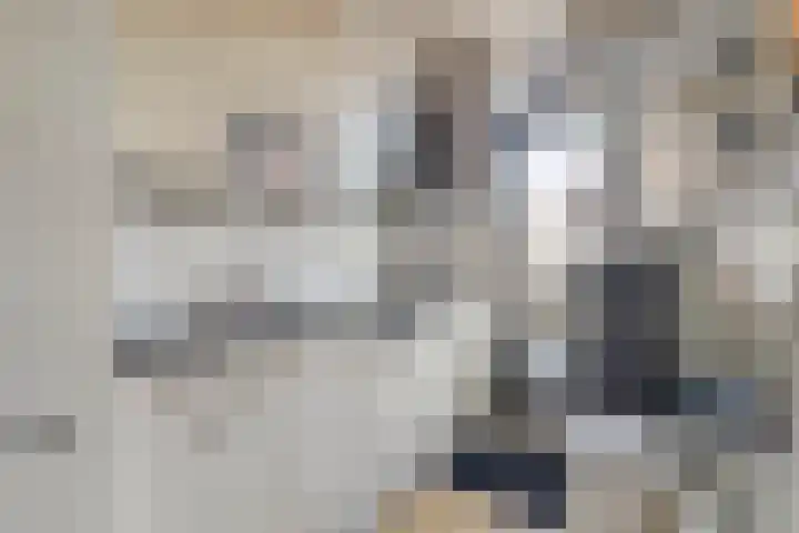 van der Fuyckstraat 126 Brielle thumbnail 8