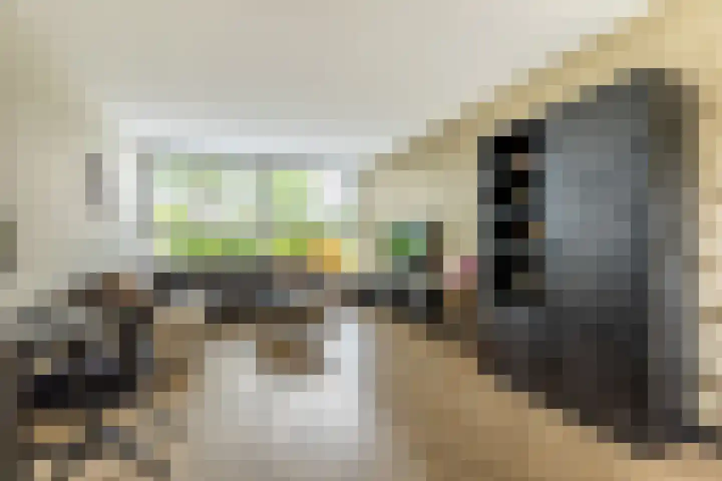 van der Fuyckstraat 160 Brielle thumbnail 10