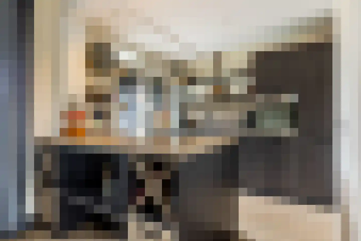 van der Fuyckstraat 160 Brielle thumbnail 13