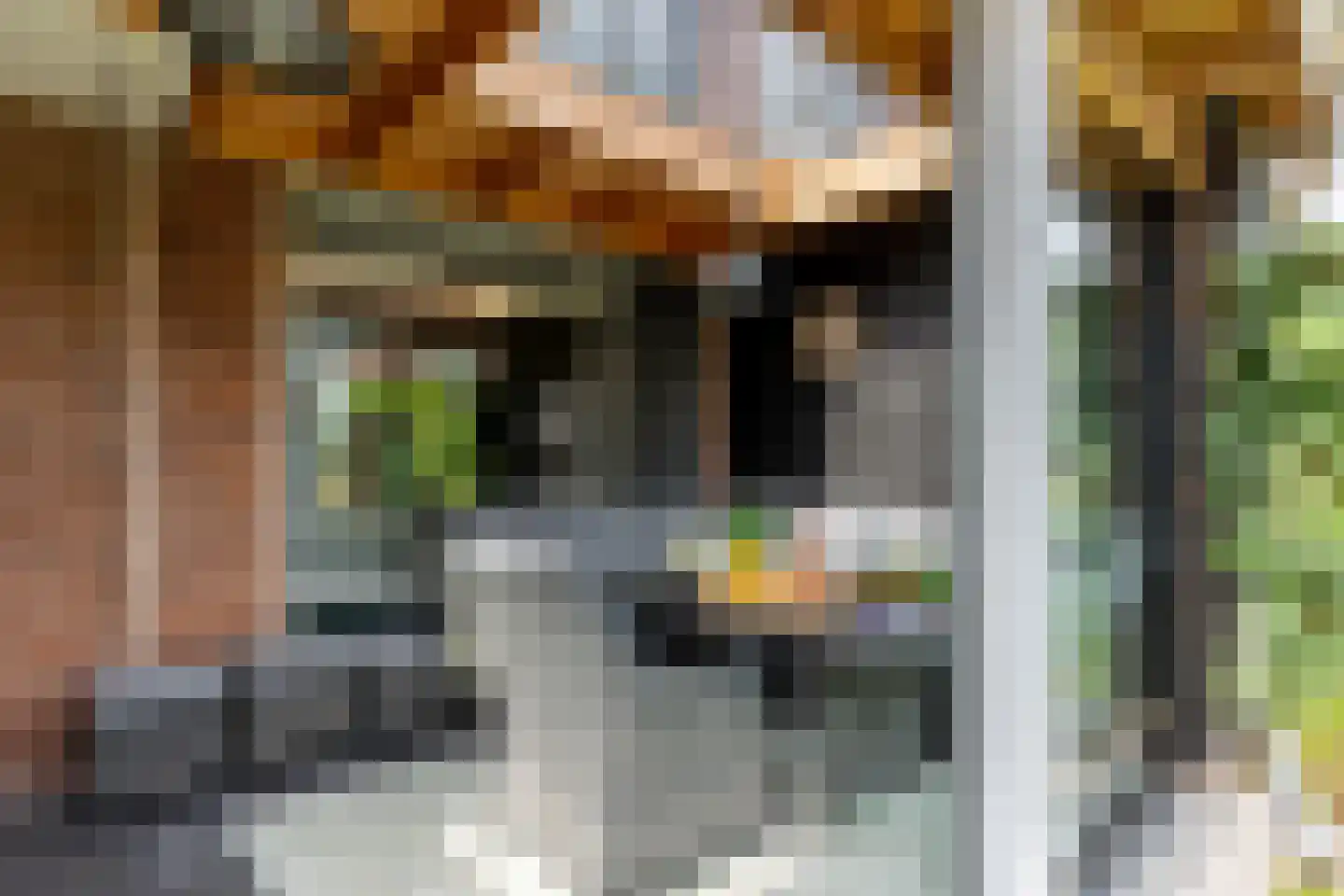 van der Fuyckstraat 160 Brielle thumbnail 27