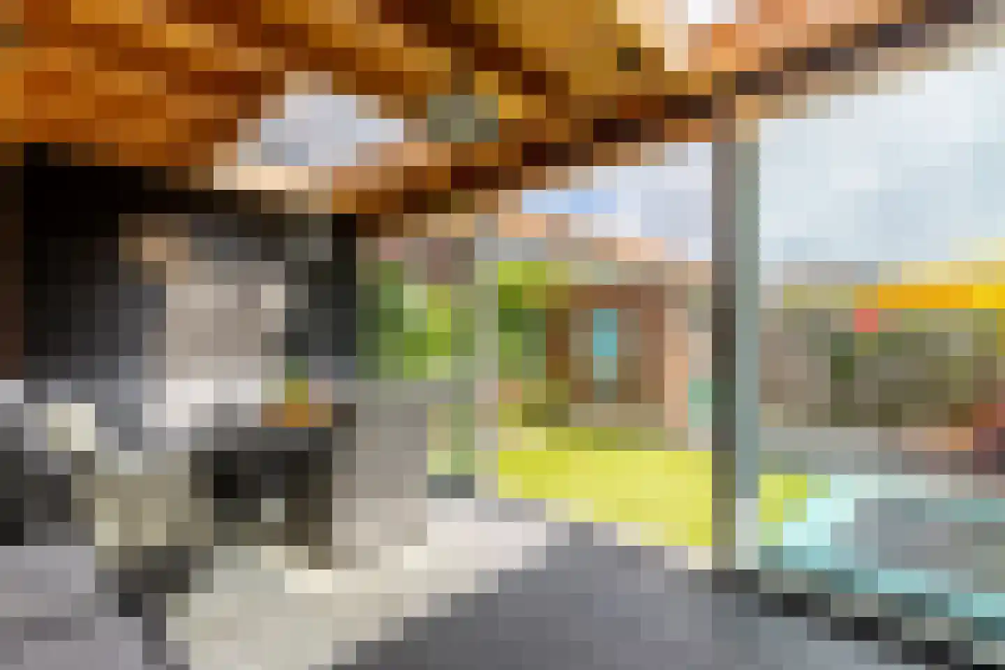 van der Fuyckstraat 160 Brielle thumbnail 29