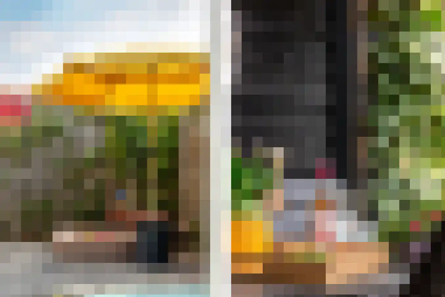 van der Fuyckstraat 160 Brielle thumbnail 32