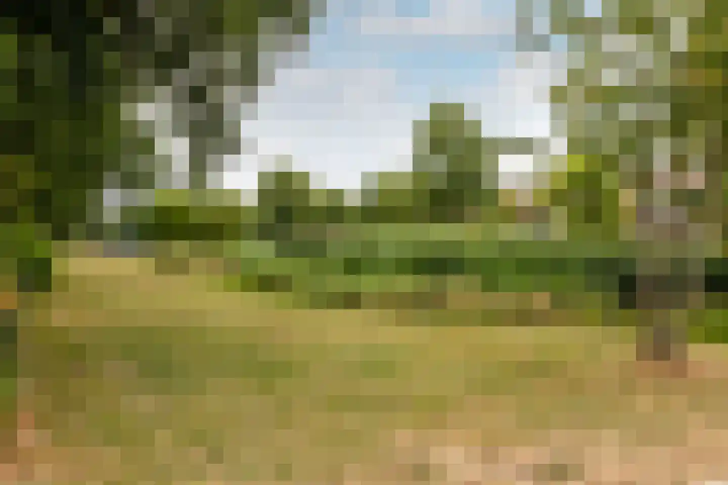 van der Fuyckstraat 160 Brielle thumbnail 35
