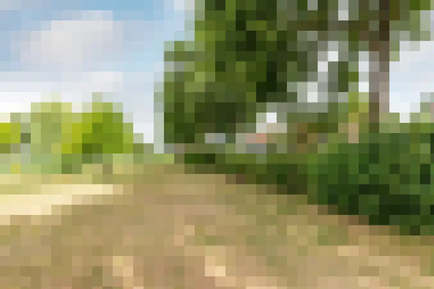 van der Fuyckstraat 160 Brielle thumbnail 36