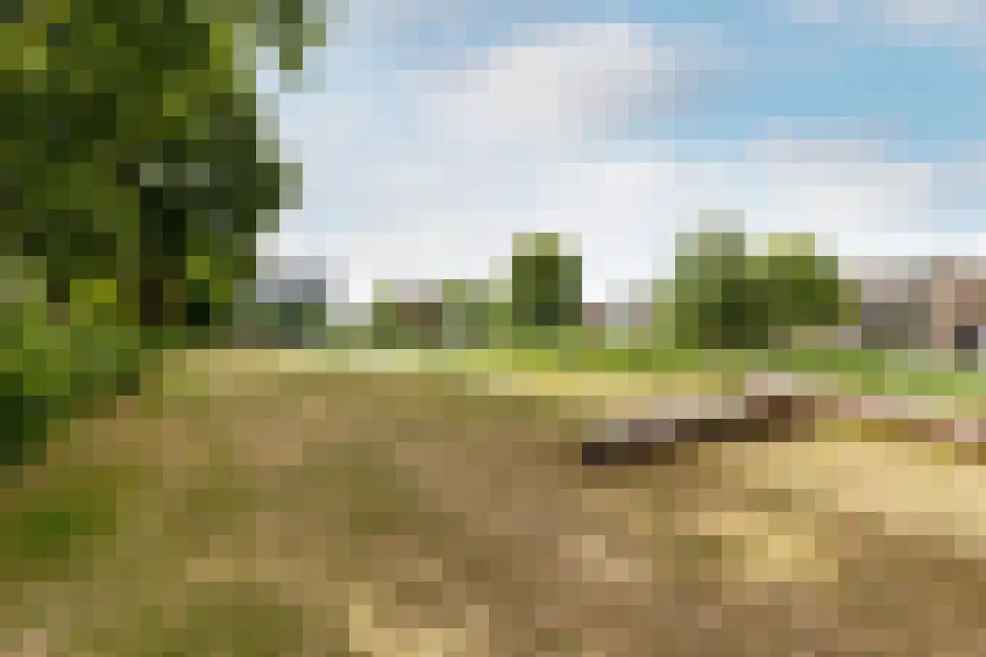 van der Fuyckstraat 160 Brielle thumbnail 4
