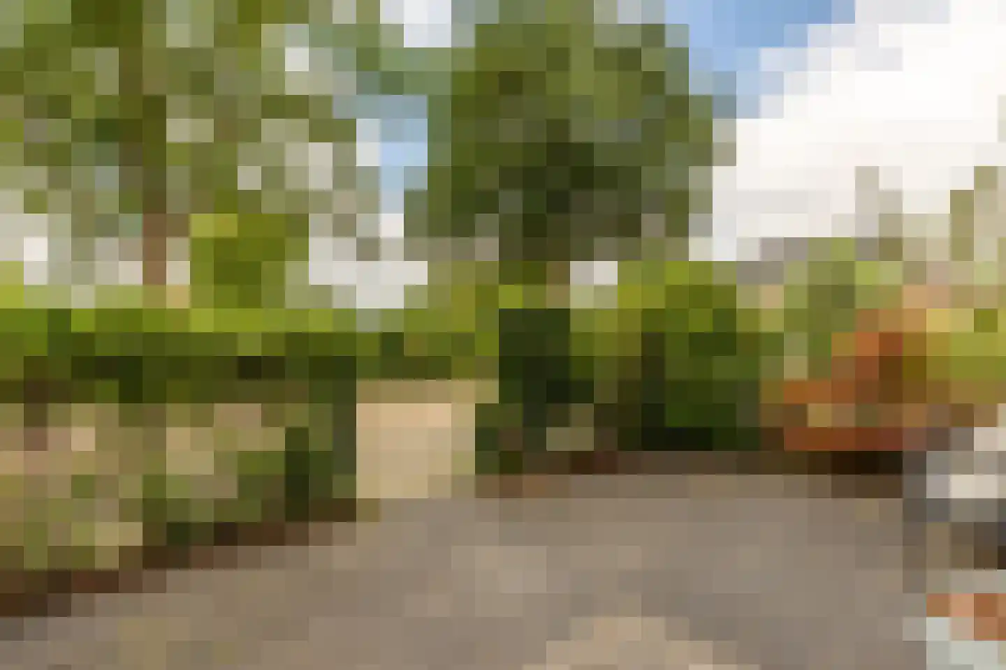 van der Fuyckstraat 160 Brielle thumbnail 6
