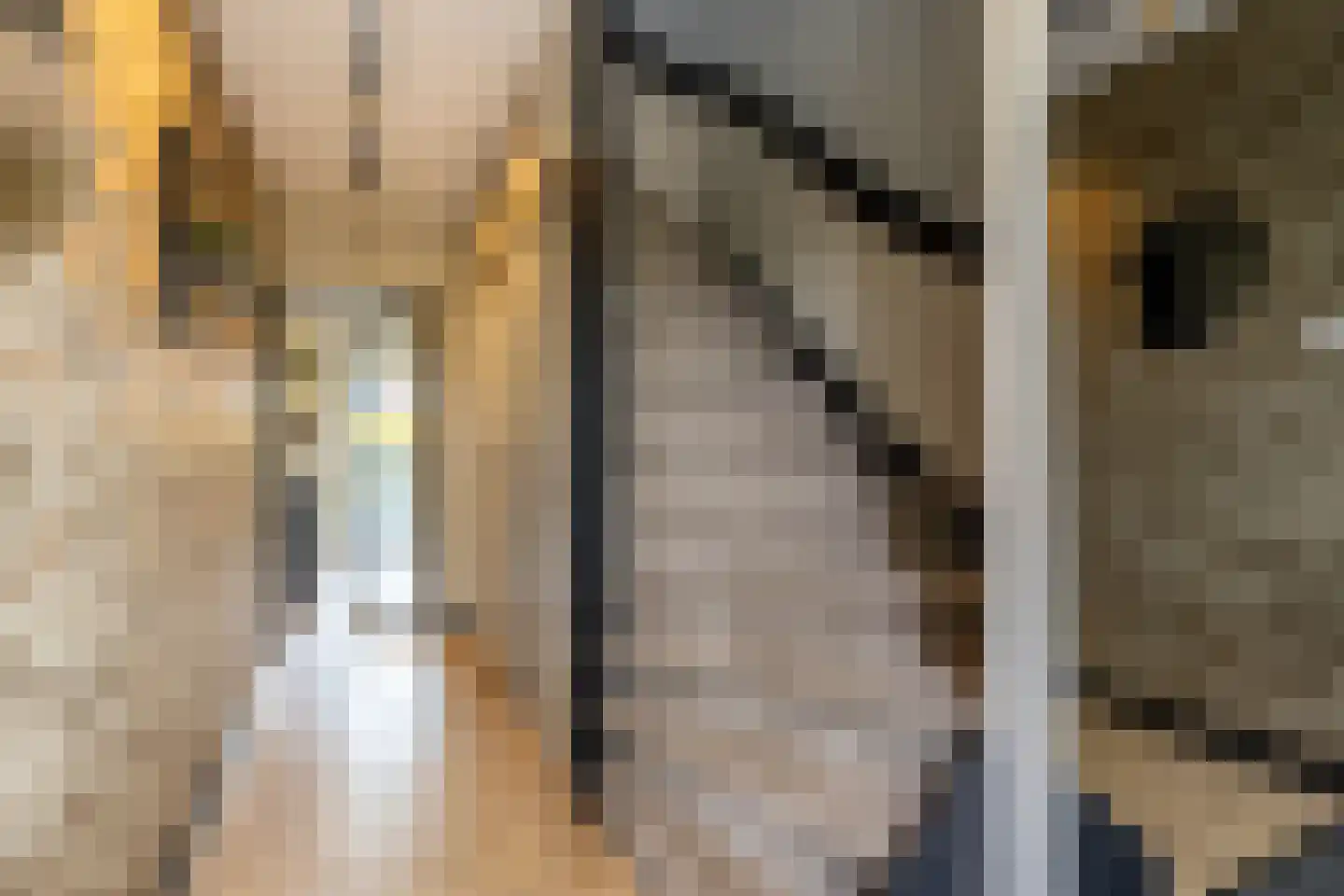 van der Fuyckstraat 160 Brielle thumbnail 9