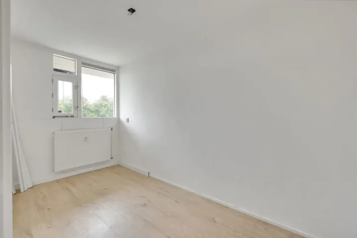 van der Fuyckstraat 19 Brielle thumbnail 10