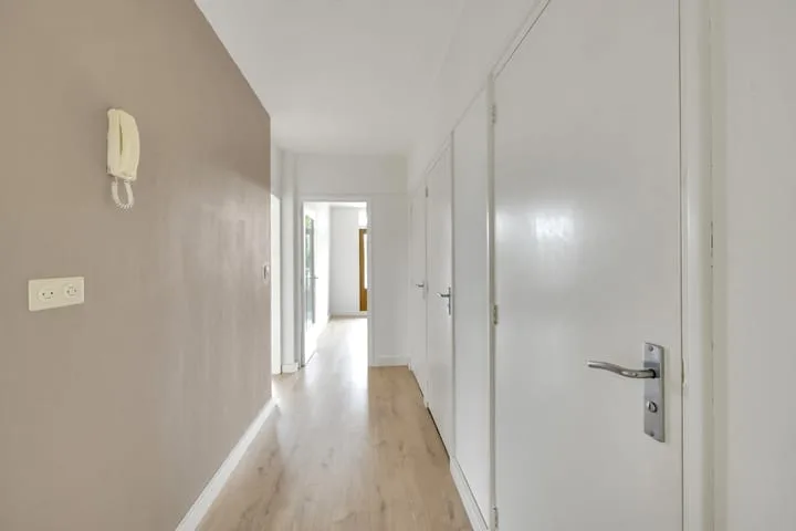 van der Fuyckstraat 19 Brielle thumbnail 12