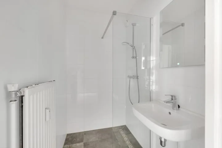 van der Fuyckstraat 19 Brielle thumbnail 13