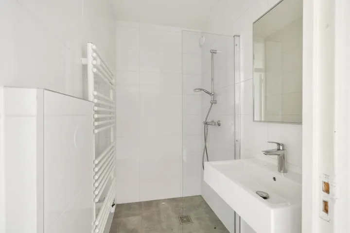 van der Fuyckstraat 207 Brielle thumbnail 13