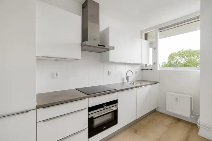 van der Fuyckstraat 207 Brielle thumbnail 8