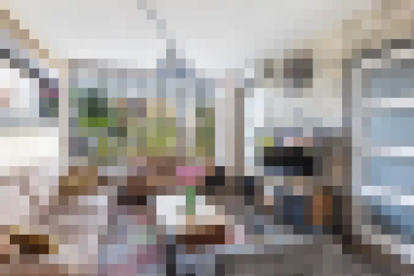 van der Fuyckstraat 26 Brielle thumbnail 11