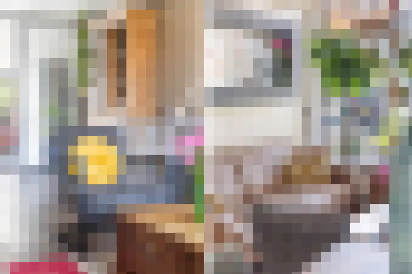 van der Fuyckstraat 26 Brielle thumbnail 14