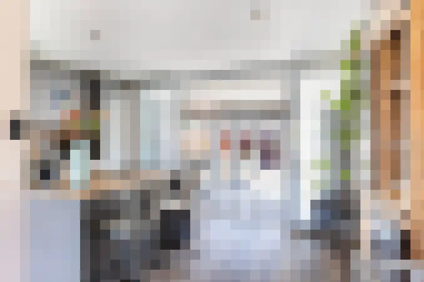 van der Fuyckstraat 26 Brielle thumbnail 15