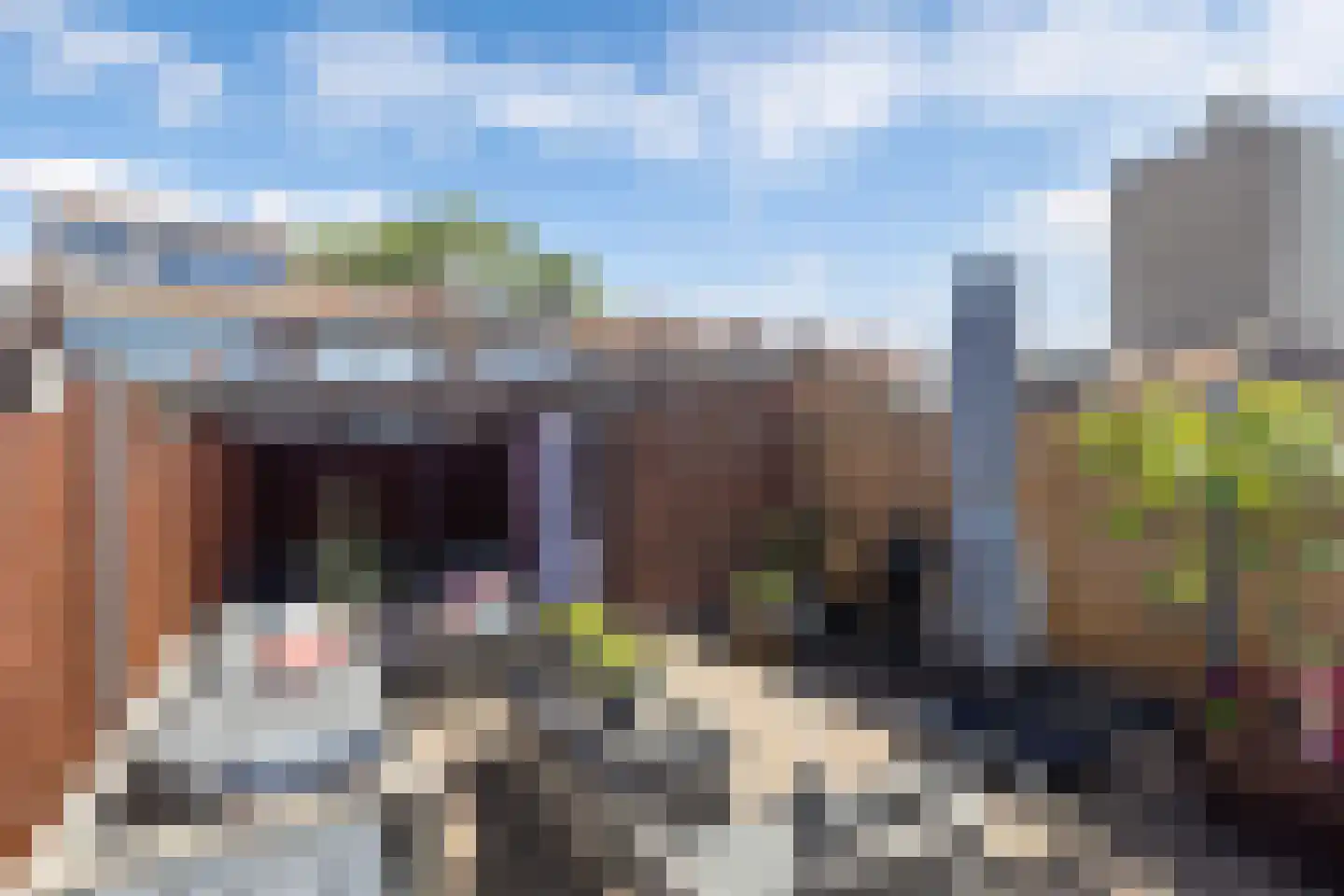 van der Fuyckstraat 26 Brielle thumbnail 27