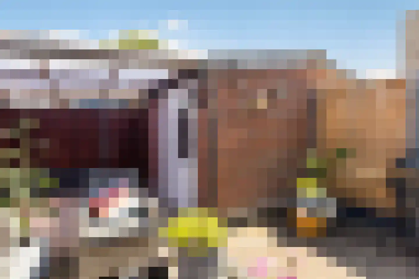 van der Fuyckstraat 26 Brielle thumbnail 30