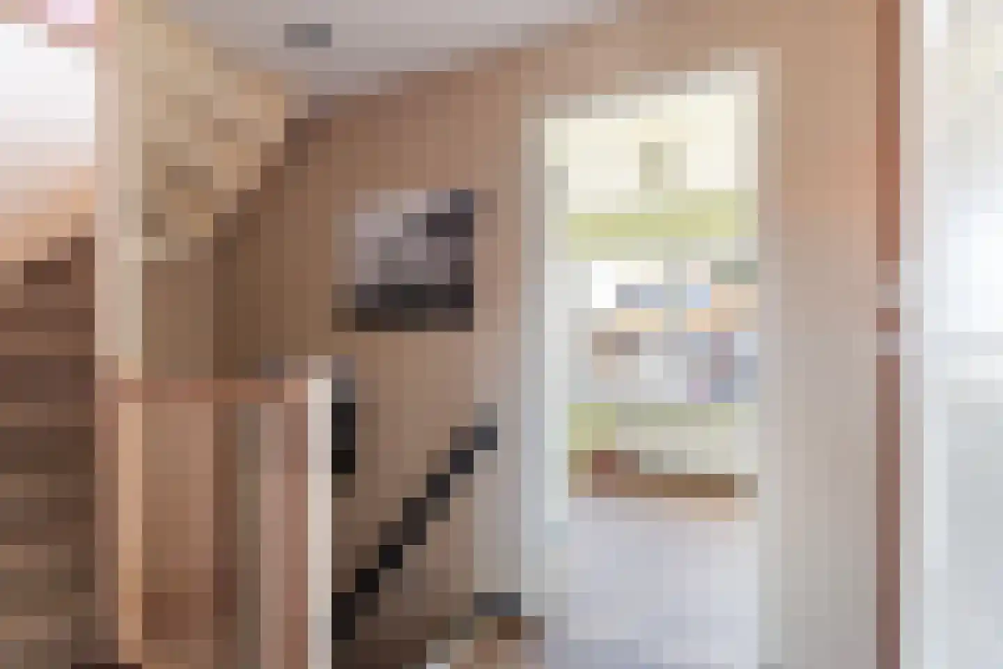 van der Fuyckstraat 26 Brielle thumbnail 33