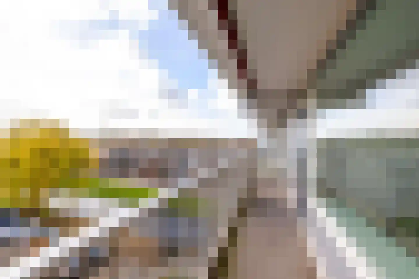 van der Fuyckstraat 37 Brielle thumbnail 23