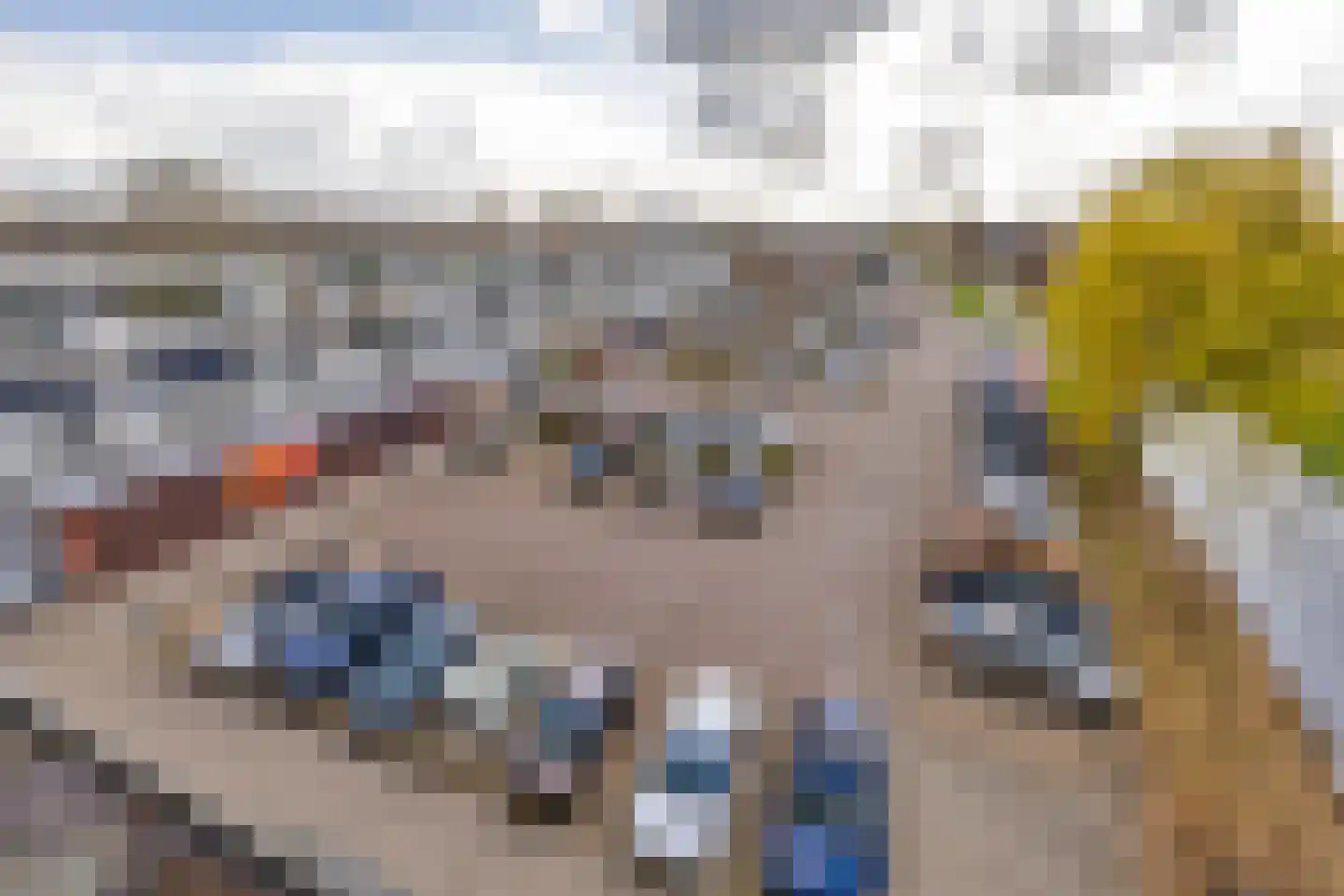 van der Fuyckstraat 37 Brielle thumbnail 25